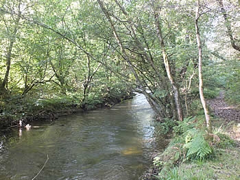 Views of the river from Kerney Bridge