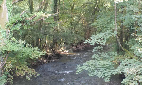 View from Kerney Bridge on the parish boundary