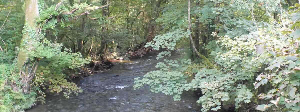 View from Kerney Bridge on the parish boundary